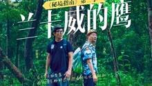 跳动的旋转球